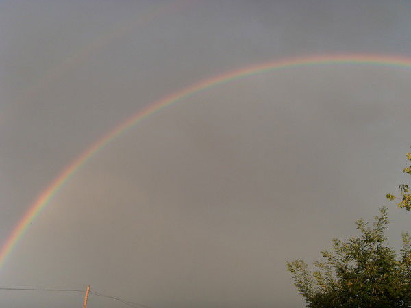 Кульзия Акылгазина