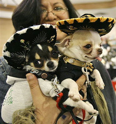 Ольга Угрюмова