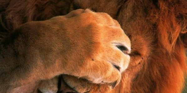 Григорий Чистов