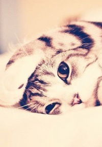 Светлана Ранова