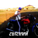 Евгений Волков