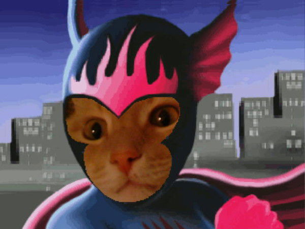 Елена Королева