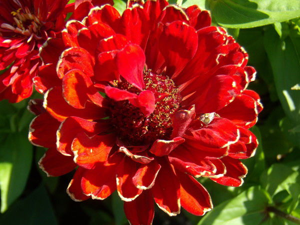 Татьяна Татьяна