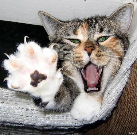 Ольга Новожилова