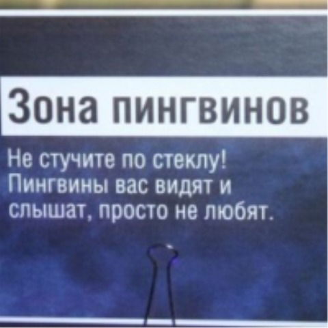 Виктория Курта