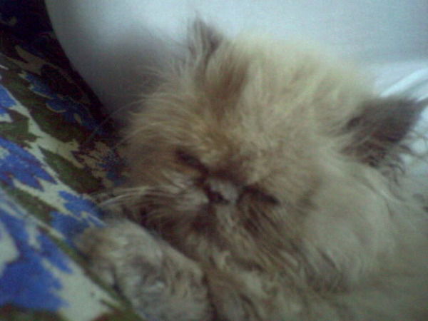 Наташа Полозкова