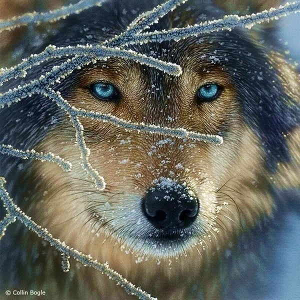 Виктор Русский