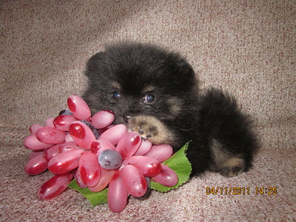 Любовь Воинова