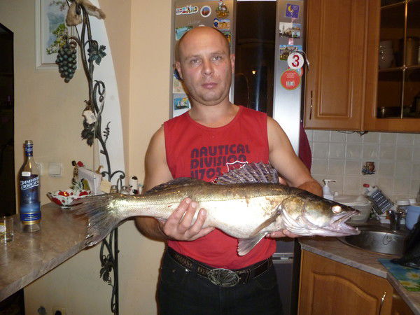 Александр Коровушкин