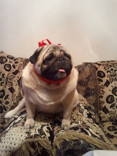 Сергей Искалиев