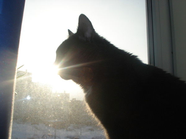 Владимир Левакшин