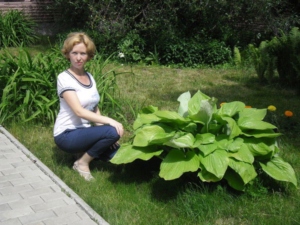 Гульнара Ханиева (Ишукова)