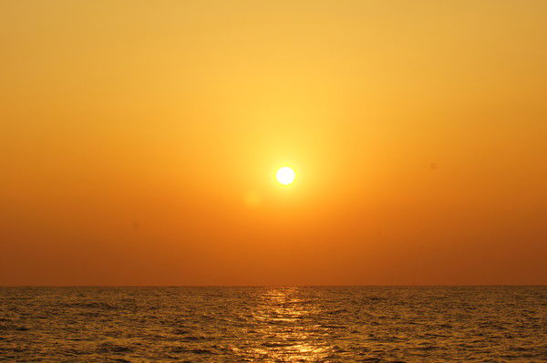 Ринат Кунаходжаев