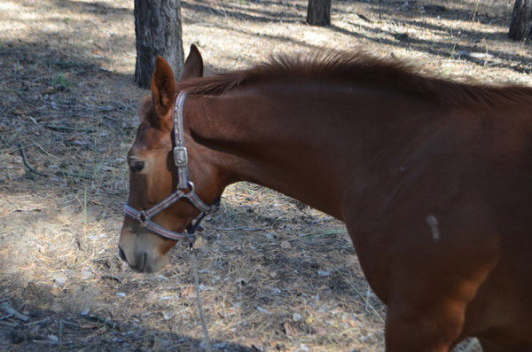 Геннадий Александров