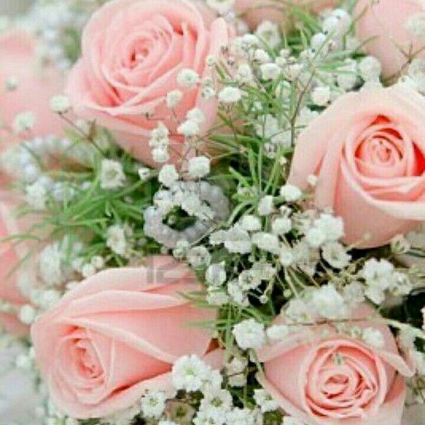 Анна Геращенко