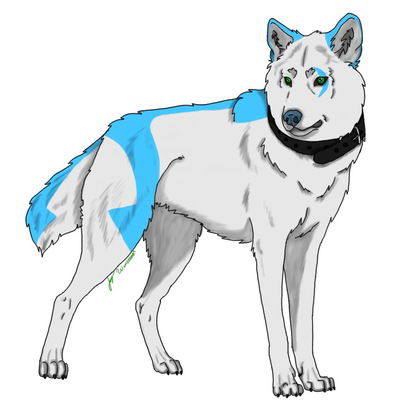 Майя Волкова