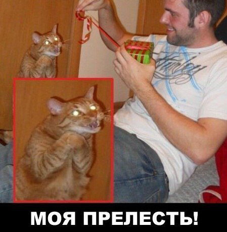 Санёк Шувалов