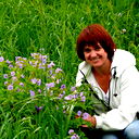 Елена Драчук