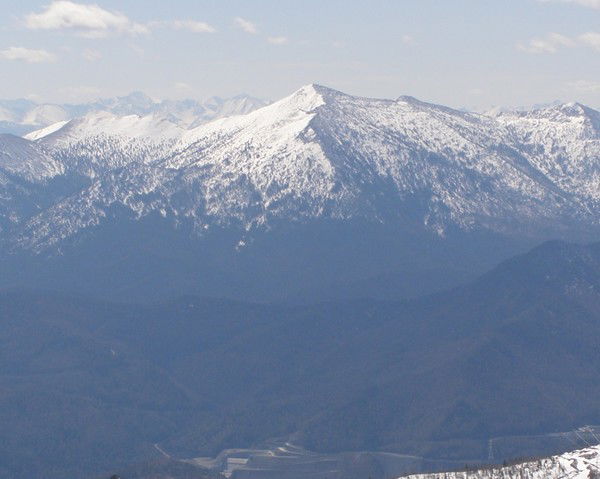 Александр Давыдов