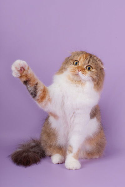 Марианна ......