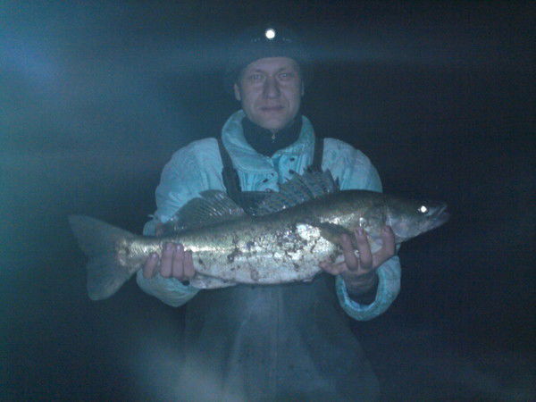 Всеволод Михайлович