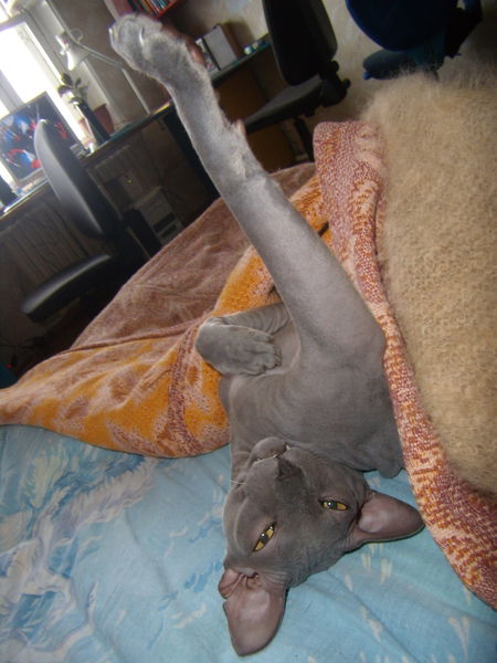 Людмила Джалалова