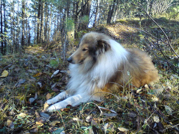 Валентина Соколова