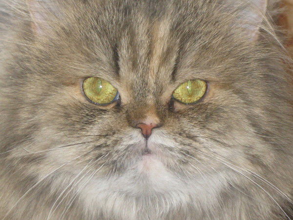 Наталья Мазурина