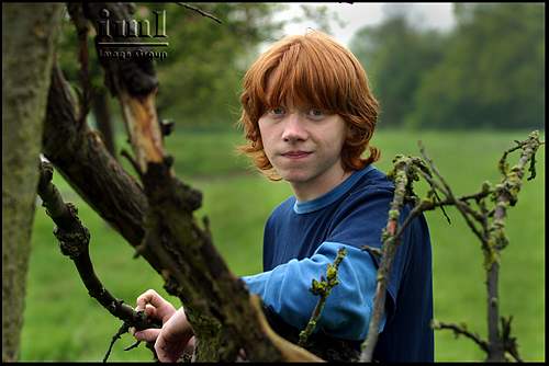 Rupert Grint