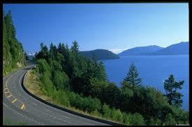 Светлана Владимировна