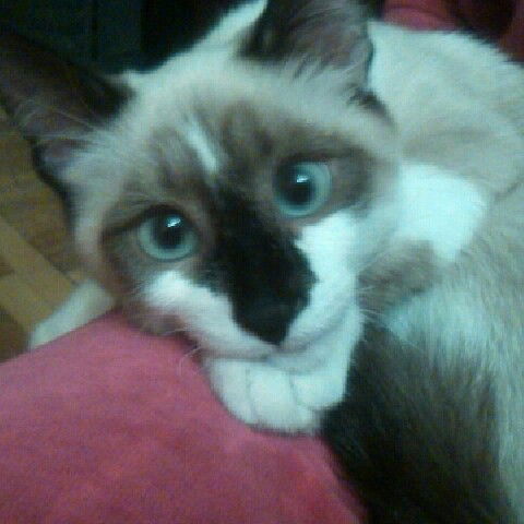 Казьмина Екатерина