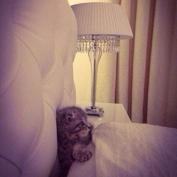 Екатерина Аксенова