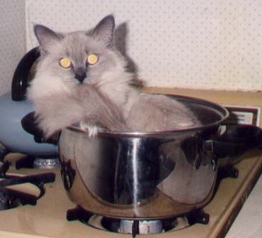 Екатерина Вишневская