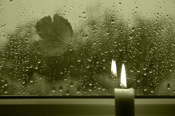 Светлана Зарецкая