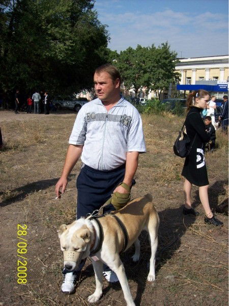 Сергей Охрименко