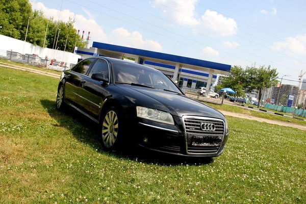 Дмитрий Тараданов