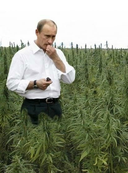 Рома Ниснеевич