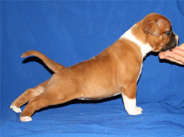 Влад Климов