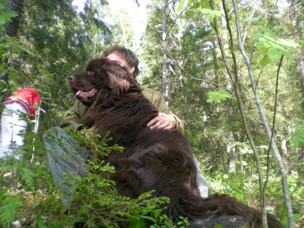 Дмитрий Кудрявцев