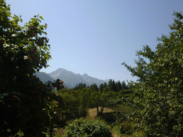 Александр Савченко