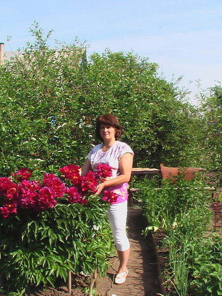 Ильсия Губаева