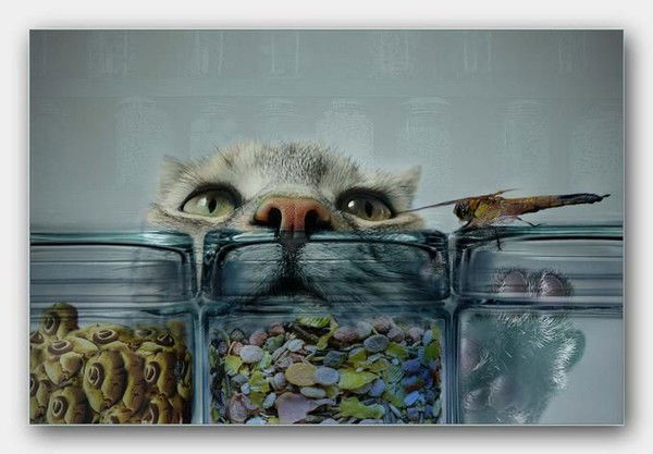 Оксана Тырцева