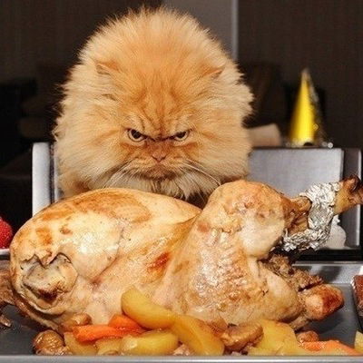 Саня Богданов