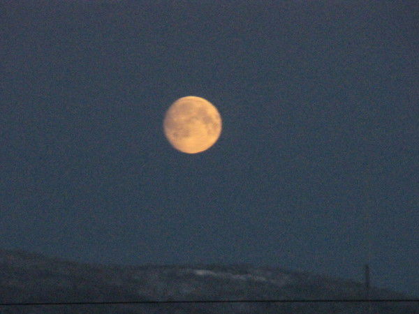 Вячеслав Вагапов