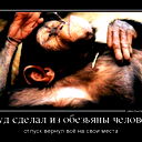 Александр Щукин
