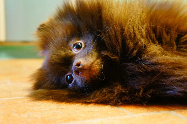 Людмила Блажко