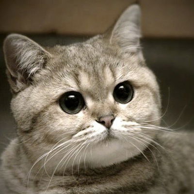 Марат Сарбулатов