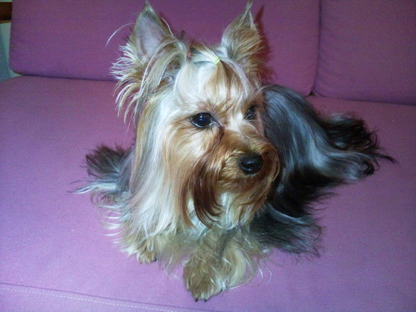 Ирина Юрченкова