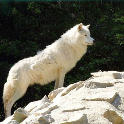 Юля Стойкова