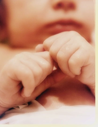 Катя Ольшевская